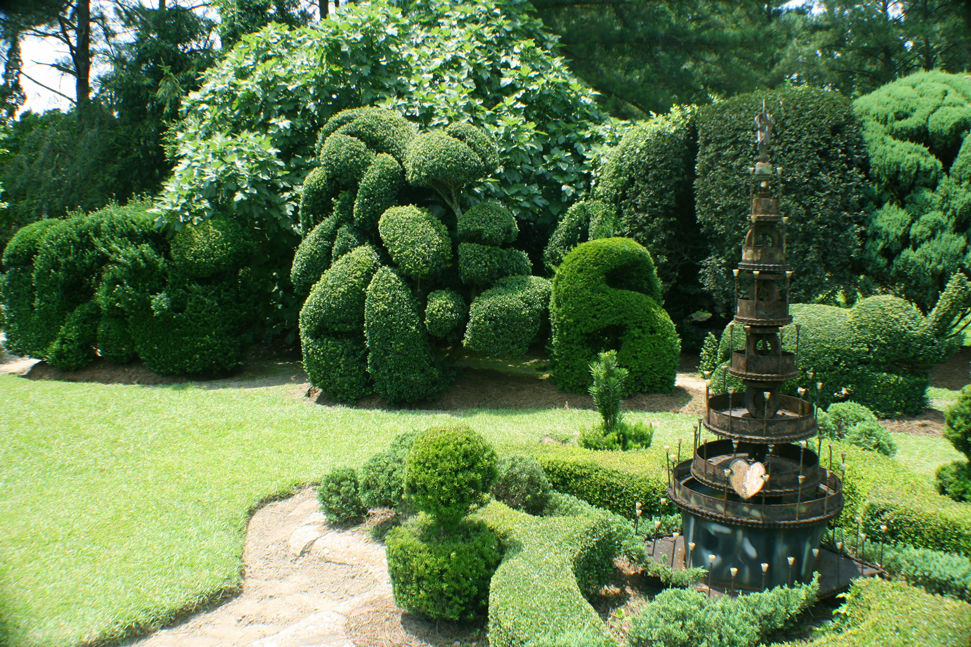 Within+the+State%3A+Pearl+Fryar%26%238217%3Bs+Topiary+Garden
