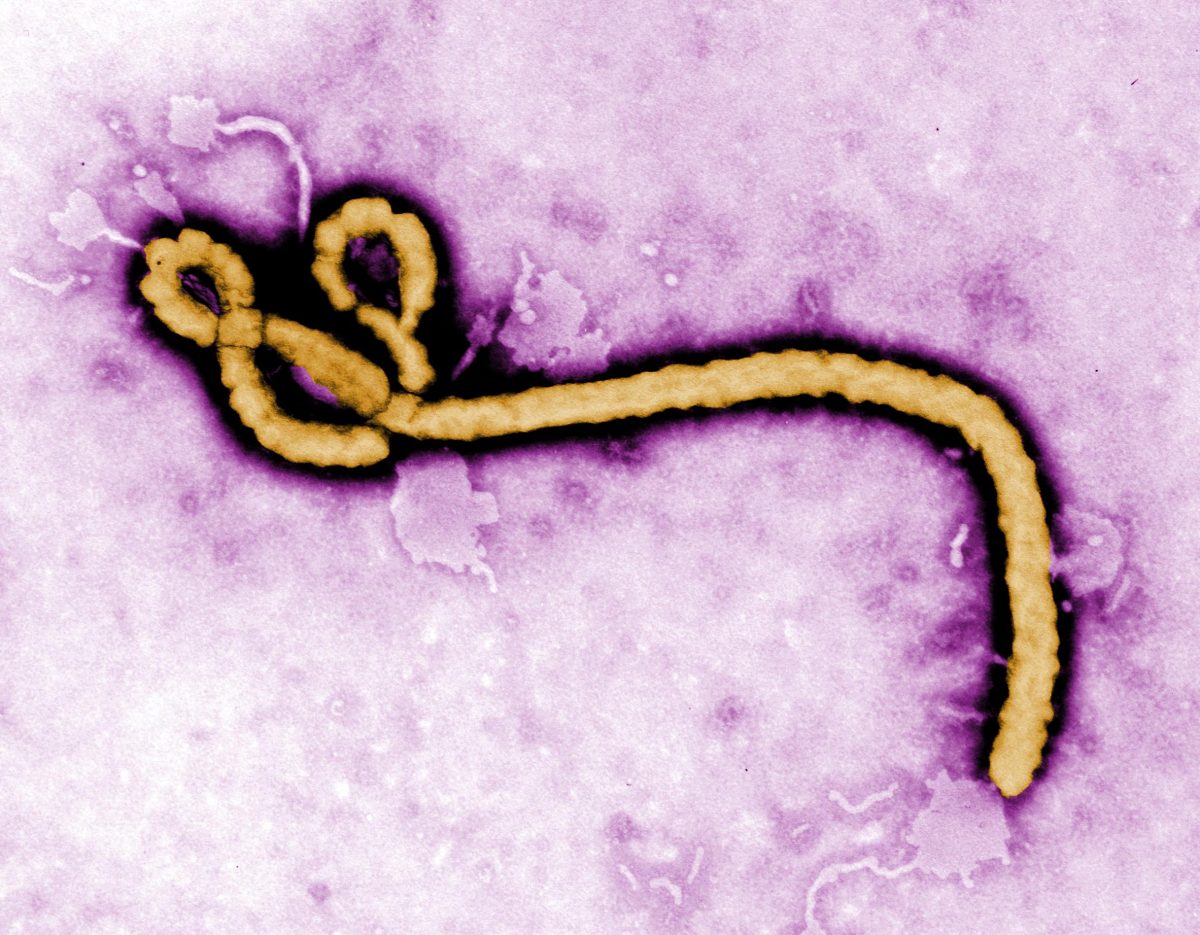 Ebola+Hysteria+is+Unwarranted