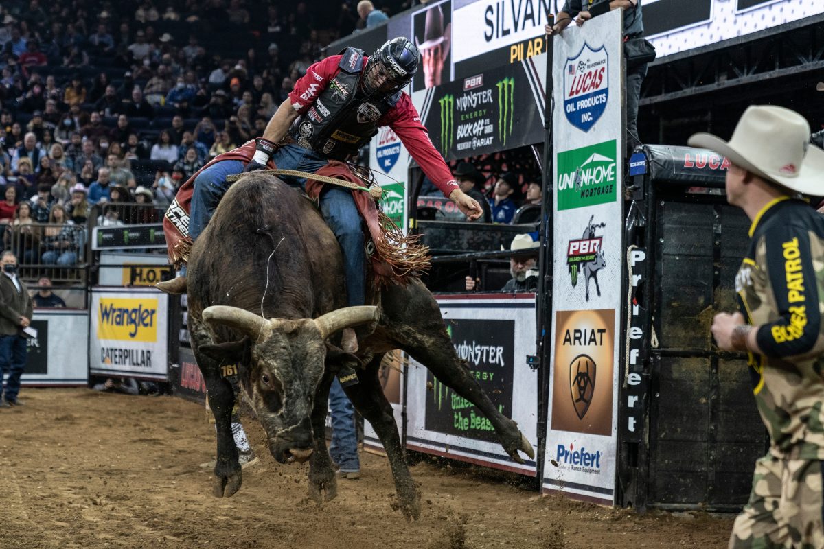 A rider competes at a PBR tournament. PBR has transformed the sport of bull riding from mainly community centric rodeo events to large-scale productions.  