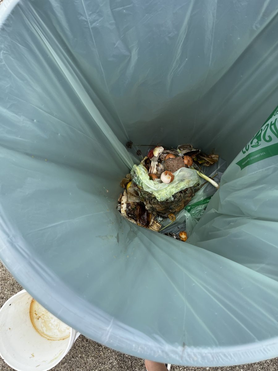 Compost in one of Furman's community collection bins.