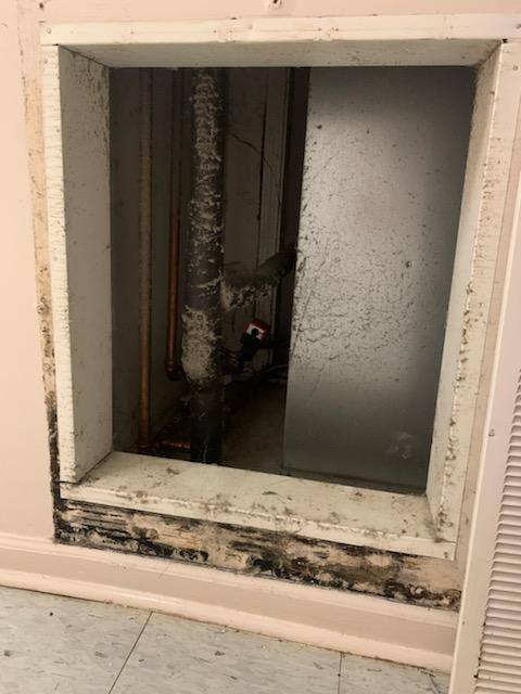 The intake vent where Libby Hamilton and her roommates first discovered mold. 