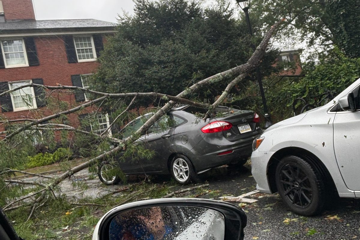 Officer 12 Summons Hurricane to Enforce Parking Compliance