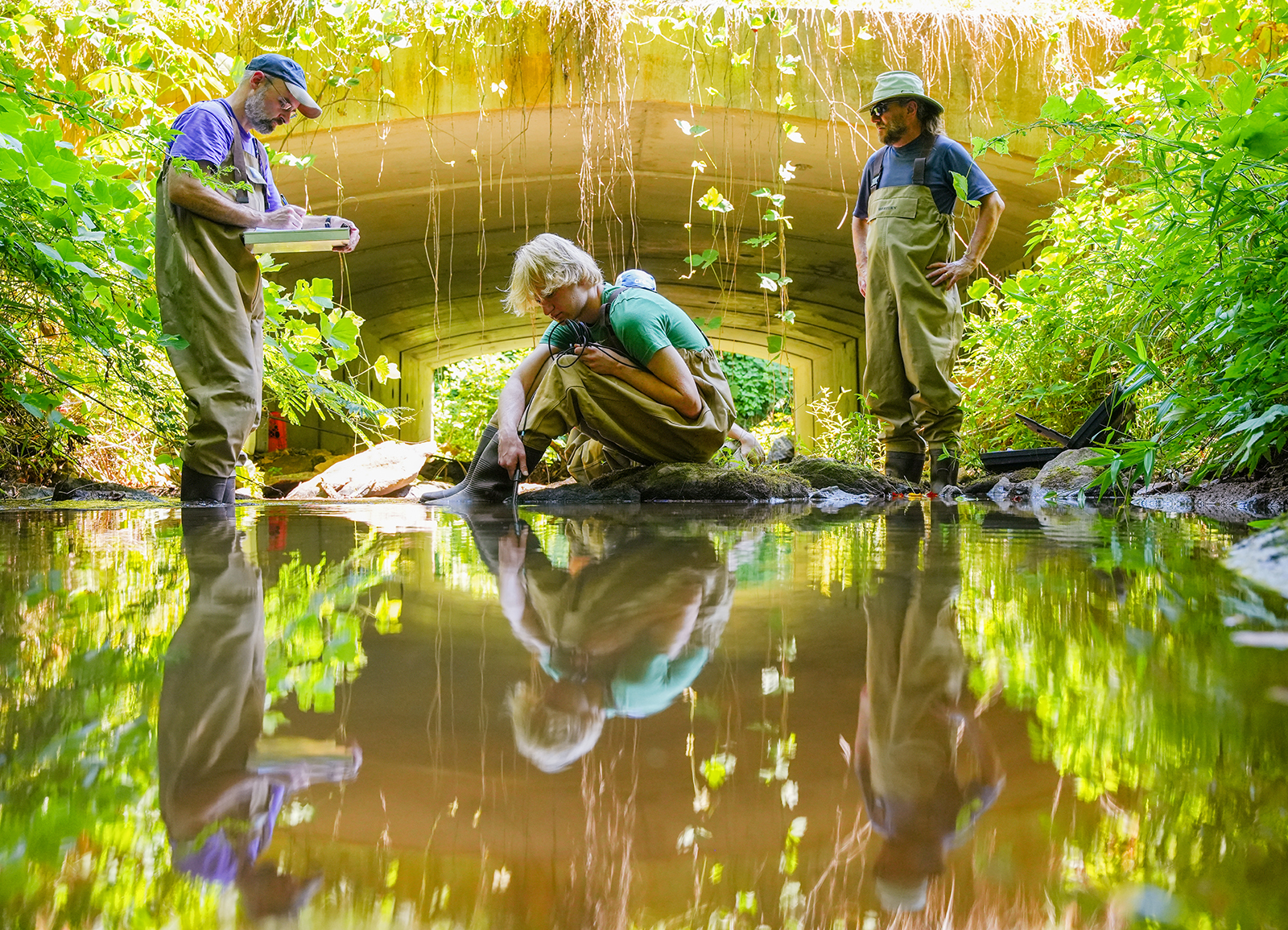 Furman From Behind the Lens: A Glimpse into the Creators Behind the Cameras